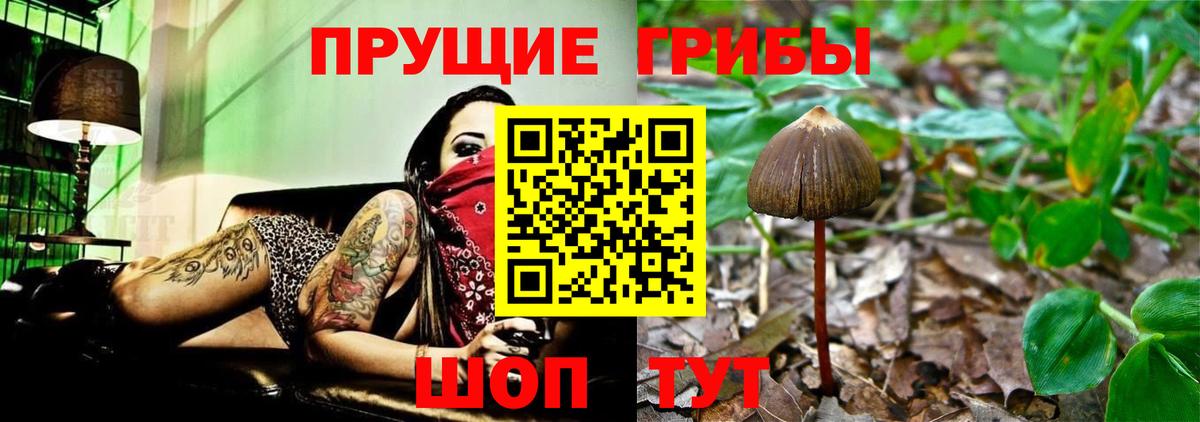 Галлюциногенные грибы ЛСД Майский