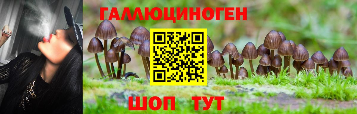 Псилоцибиновые грибы Psilocybe  Вход с VPN  Майский  Псилоцибиновые грибы Psilocybe 