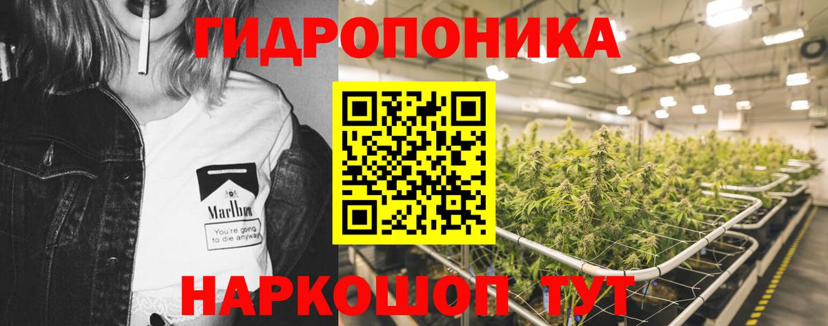 Конопля AK-47 Майский